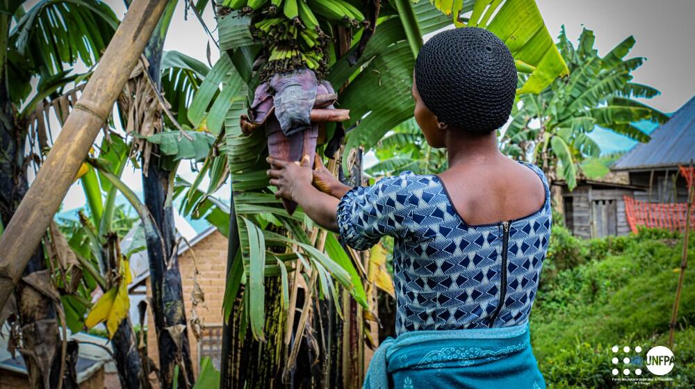 Sandra Nkuba, une survivante de Kaniro, entrain de toucher le régime d’un bananier planté dans leur parcelle