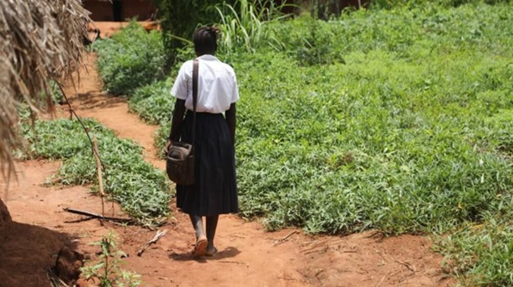 Tantine sur le chemin de l'école