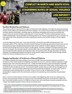 Advocacy brief: Conflicts in North and South Kivu: Staggering rates of sexual violence and impunity