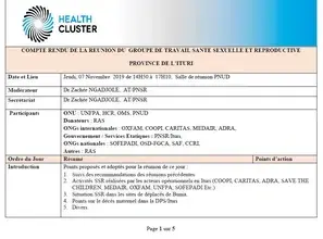 Comptes rendus du groupe de travail Santé de reproduction Ituri